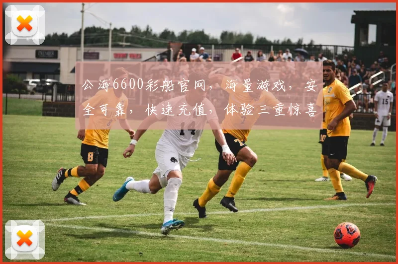 公海6600彩船官网，海量游戏，安全可靠，快速充值，体验三重惊喜，一触即达