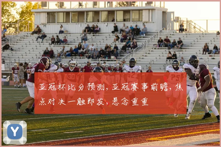 亚冠杯比分预测,亚冠赛事前瞻,焦点对决一触即发,悬念重重